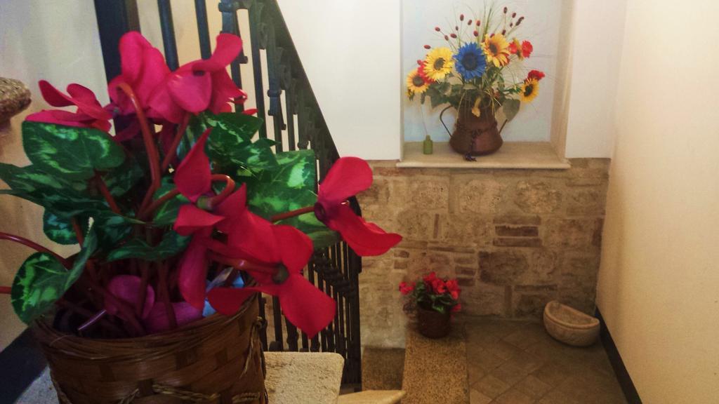 אסקולי פיצ'נו Il Ciclamino Bed And Breakfast מראה חיצוני תמונה
